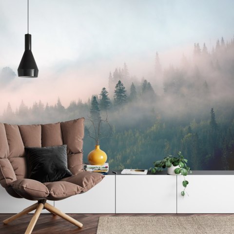 Fototapeta Las We Mgle Flizelina 208x146 FT-453-VEXL