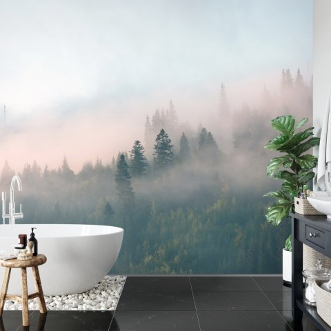 Fototapeta Las We Mgle Flizelina 208x146 FT-453-VEXL