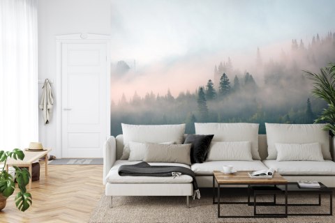 Fototapeta Las We Mgle Flizelina 208x146 FT-453-VEXL