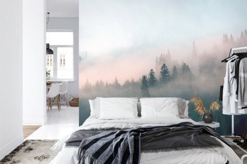 Fototapeta Las We Mgle Flizelina 208x146 FT-453-VEXL