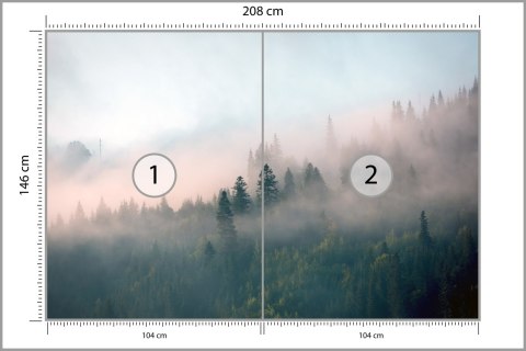 Fototapeta Las We Mgle Flizelina 208x146 FT-453-VEXL