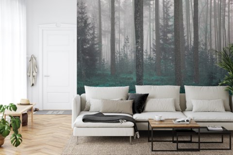 Fototapeta Las We Mgle Flizelina 208x146 FT-454-VEXL