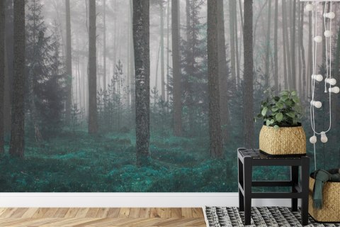 Fototapeta Las We Mgle Flizelina 208x146 FT-454-VEXL