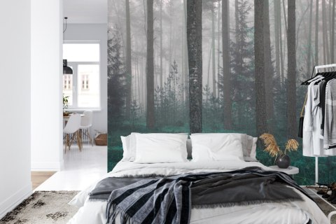 Fototapeta Las We Mgle Flizelina 208x146 FT-454-VEXL