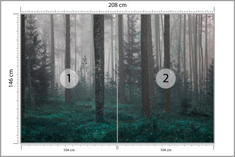 Fototapeta Las We Mgle Flizelina 208x146 FT-454-VEXL