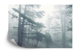 Fototapeta Las We Mgle Flizelina 208x146 FT-459-VEXL