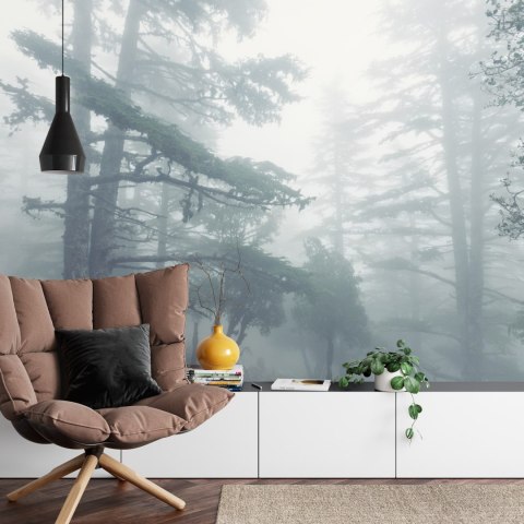 Fototapeta Las We Mgle Flizelina 208x146 FT-459-VEXL