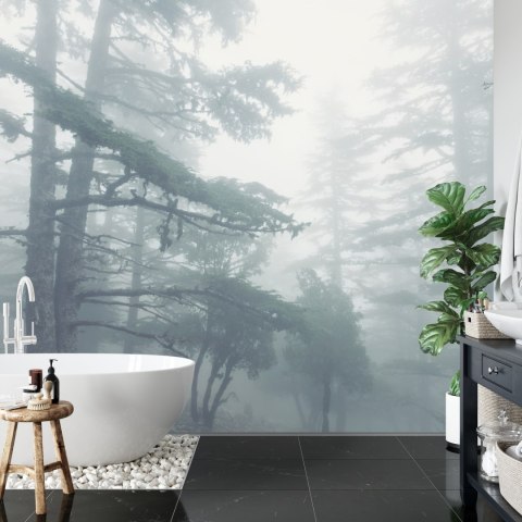 Fototapeta Las We Mgle Flizelina 208x146 FT-459-VEXL