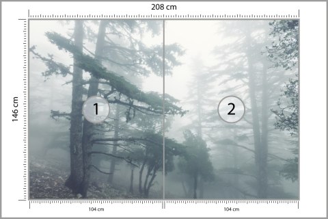 Fototapeta Las We Mgle Flizelina 208x146 FT-459-VEXL