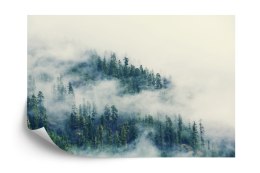 Fototapeta Las We Mgle Flizelina 208x146 FT-461-VEXL