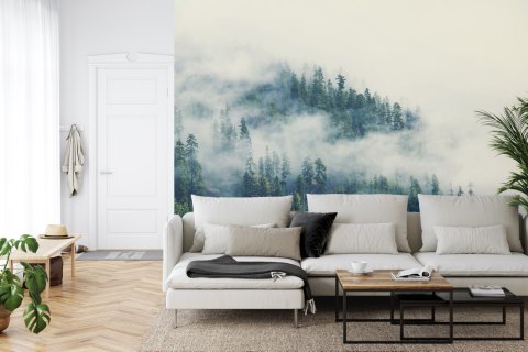 Fototapeta Las We Mgle Flizelina 208x146 FT-461-VEXL