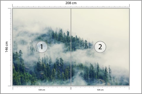 Fototapeta Las We Mgle Flizelina 208x146 FT-461-VEXL