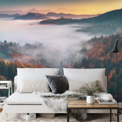 Fototapeta Las We Mgle Flizelina 208x146 FT-471-VEXL