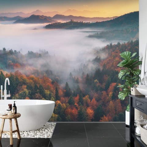 Fototapeta Las We Mgle Flizelina 208x146 FT-471-VEXL