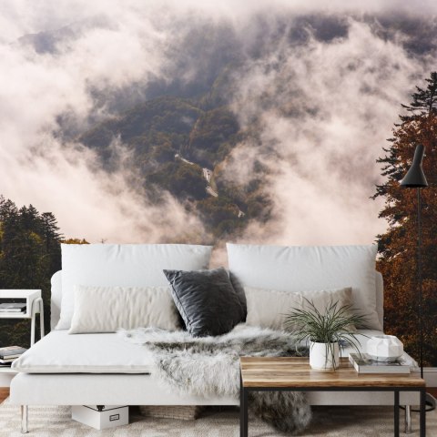 Fototapeta Las We Mgle Flizelina 208x146 FT-473-VEXL