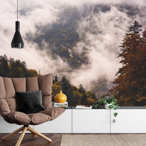 Fototapeta Las We Mgle Flizelina 208x146 FT-473-VEXL