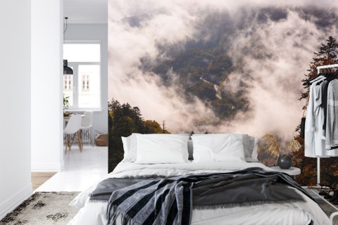 Fototapeta Las We Mgle Flizelina 208x146 FT-473-VEXL