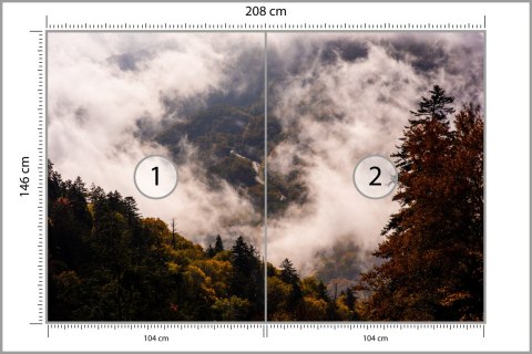 Fototapeta Las We Mgle Flizelina 208x146 FT-473-VEXL