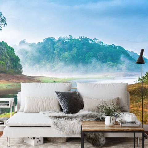 Fototapeta Las We Mgle Flizelina 208x146 FT-488-VEXL