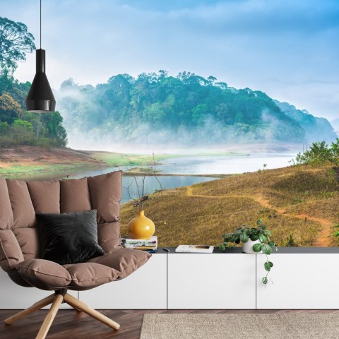 Fototapeta Las We Mgle Flizelina 208x146 FT-488-VEXL