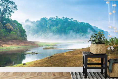 Fototapeta Las We Mgle Flizelina 208x146 FT-488-VEXL