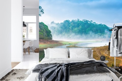 Fototapeta Las We Mgle Flizelina 208x146 FT-488-VEXL