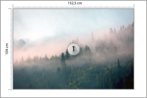 Fototapeta Las We Mgle Vinyl Gładki 152.5x104 FT-453-VGL