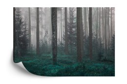 Fototapeta Las We Mgle Vinyl Gładki 152.5x104 FT-454-VGL