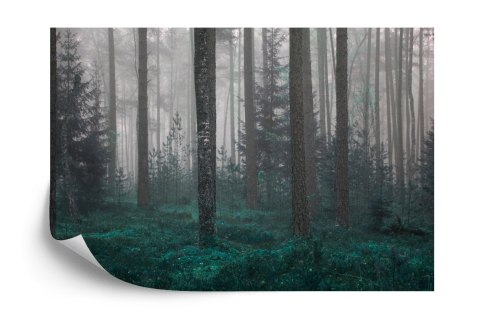 Fototapeta Las We Mgle Vinyl Gładki 152.5x104 FT-454-VGL