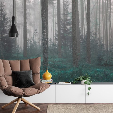 Fototapeta Las We Mgle Vinyl Gładki 152.5x104 FT-454-VGL