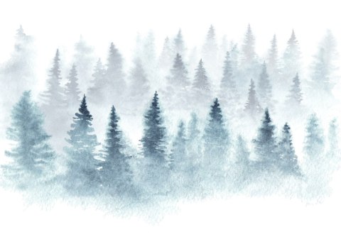 Fototapeta Las We Mgle Vinyl Gładki 152.5x104 FT-455-VGL