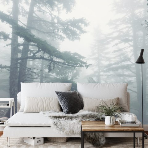 Fototapeta Las We Mgle Vinyl Gładki 152.5x104 FT-459-VGL