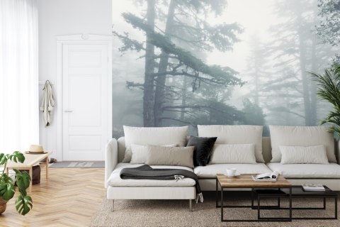 Fototapeta Las We Mgle Vinyl Gładki 152.5x104 FT-459-VGL