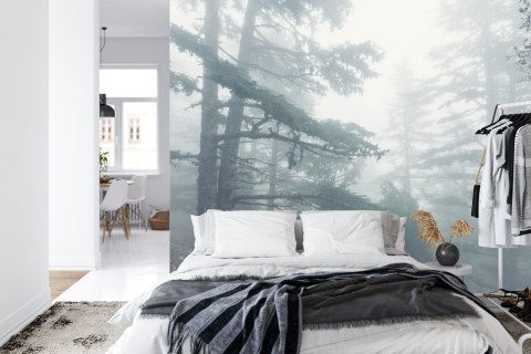 Fototapeta Las We Mgle Vinyl Gładki 152.5x104 FT-459-VGL