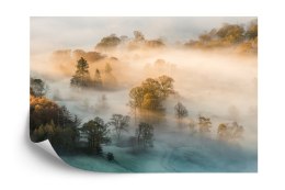 Fototapeta Las We Mgle Vinyl Gładki 152.5x104 FT-463-VGL