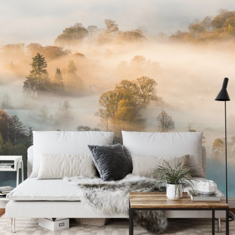 Fototapeta Las We Mgle Vinyl Gładki 152.5x104 FT-463-VGL