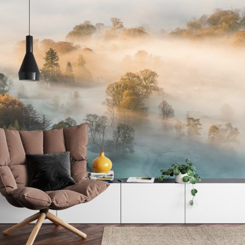 Fototapeta Las We Mgle Vinyl Gładki 152.5x104 FT-463-VGL