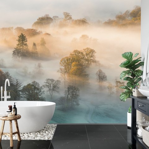 Fototapeta Las We Mgle Vinyl Gładki 152.5x104 FT-463-VGL