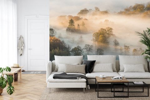 Fototapeta Las We Mgle Vinyl Gładki 152.5x104 FT-463-VGL