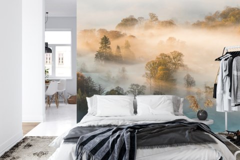 Fototapeta Las We Mgle Vinyl Gładki 152.5x104 FT-463-VGL