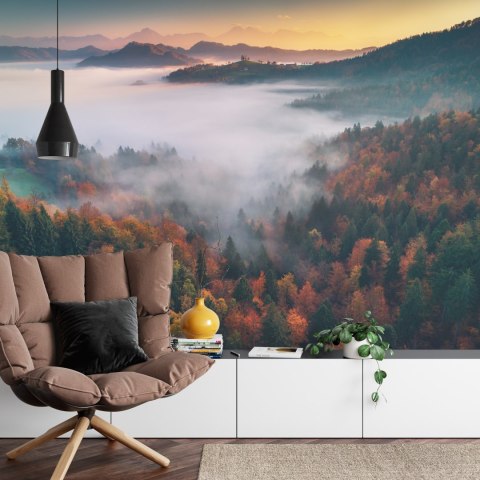 Fototapeta Las We Mgle Vinyl Gładki 152.5x104 FT-471-VGL