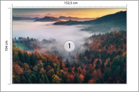 Fototapeta Las We Mgle Vinyl Gładki 152.5x104 FT-471-VGL