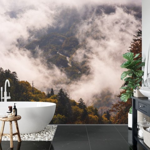 Fototapeta Las We Mgle Vinyl Gładki 152.5x104 FT-473-VGL