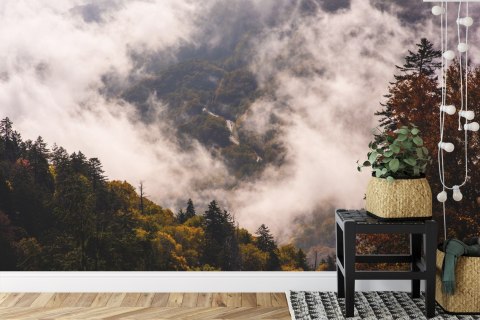 Fototapeta Las We Mgle Vinyl Gładki 152.5x104 FT-473-VGL