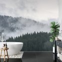 Fototapeta Mglisty Las Sosnowy Flizelina 208x146 FT-493-VEXL
