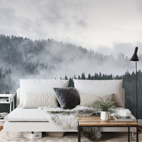 Fototapeta Mglisty Las Sosnowy Vinyl Gładki 152.5x104 FT-493-VGL