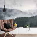 Fototapeta Mglisty Las Sosnowy Vinyl Gładki 152.5x104 FT-493-VGL