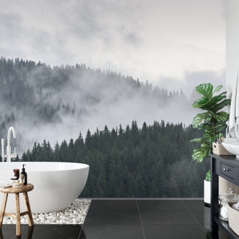 Fototapeta Mglisty Las Sosnowy Vinyl Gładki 152.5x104 FT-493-VGL