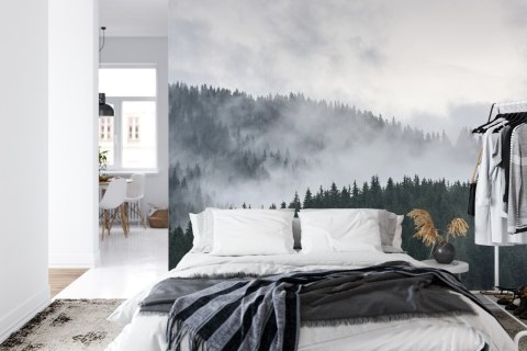 Fototapeta Mglisty Las Sosnowy Vinyl Gładki 152.5x104 FT-493-VGL