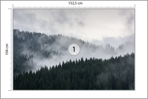 Fototapeta Mglisty Las Sosnowy Vinyl Gładki 152.5x104 FT-493-VGL